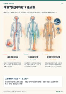 疼痛可能同時有 3 種機制｜衛教資訊圖