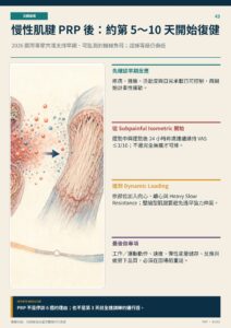 慢性肌腱 PRP 後：約第 5～10 天開始復健｜衛教資訊圖