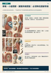 脊椎、小面關節、薦髂與椎間盤：必須降低證據等級｜衛教資訊圖