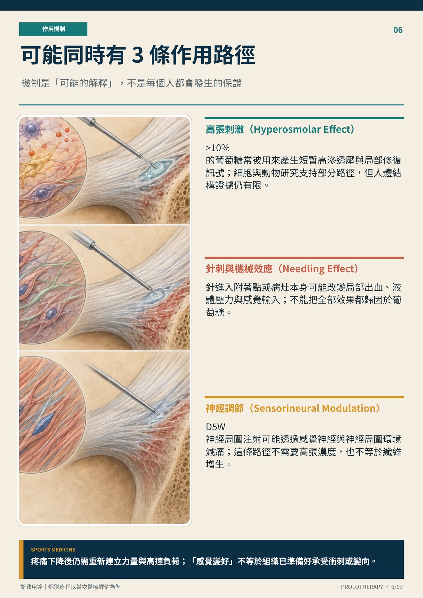 可能同時有 3 條作用路徑｜衛教資訊圖