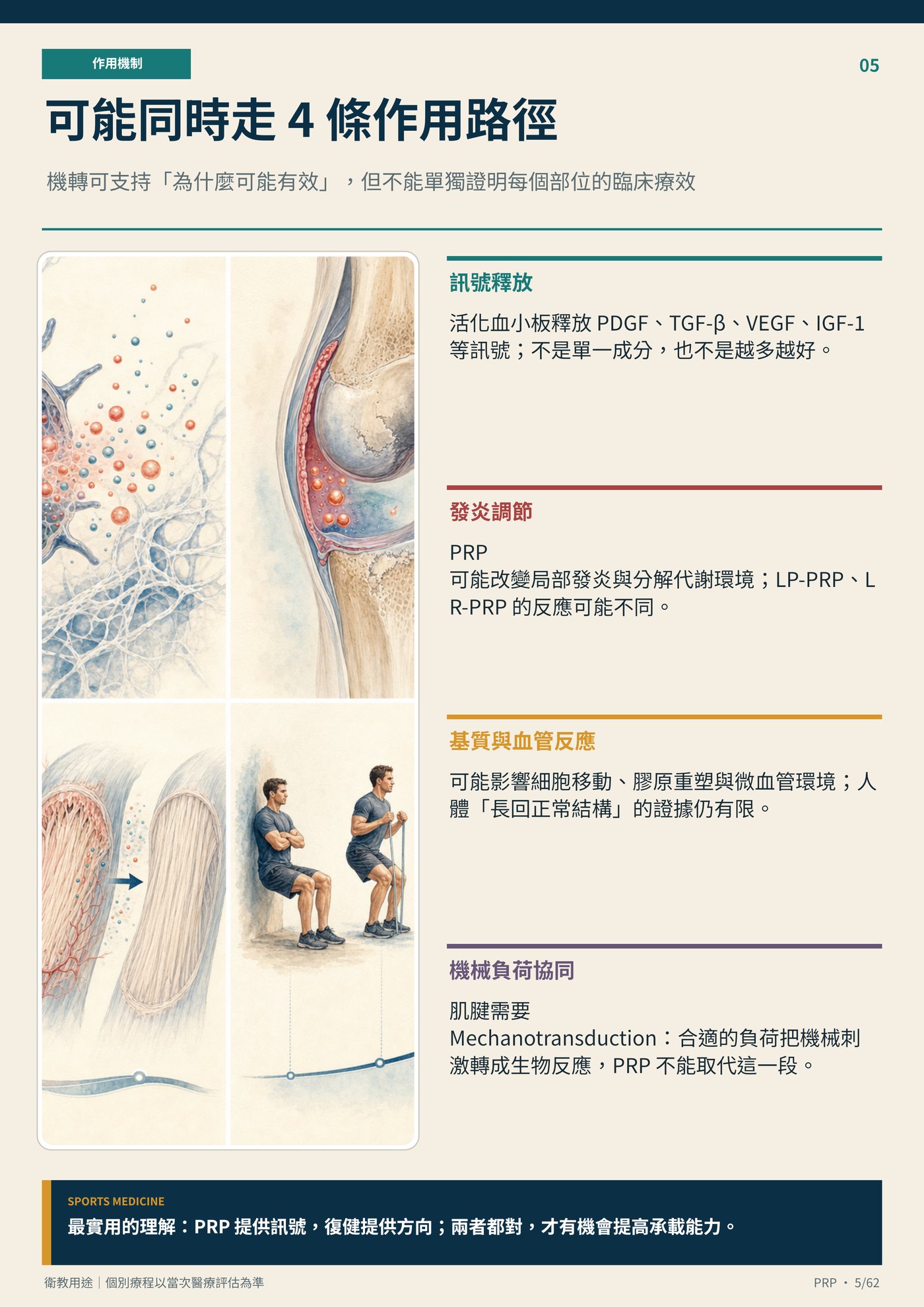 可能同時走 4 條作用路徑｜衛教資訊圖