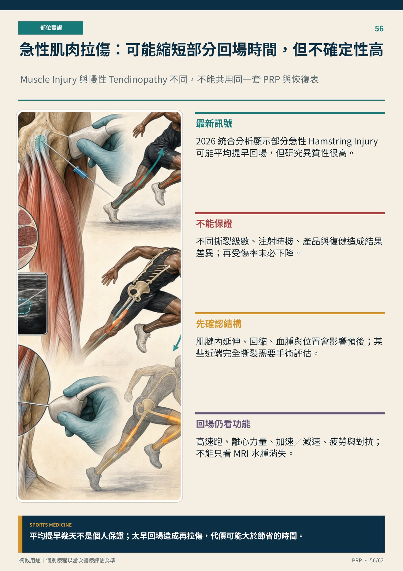 急性肌肉拉傷：可能縮短部分回場時間，但不確定性高｜衛教資訊圖